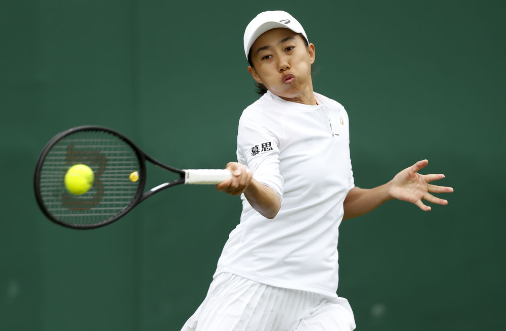 球旋转的幅 球旋转的幅